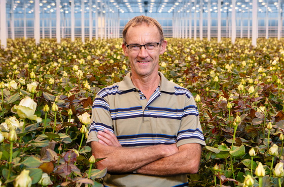 Kees van Kouwenhoven in greenhouse with roses