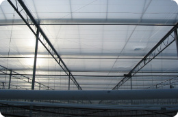 Films inside greenhouse
