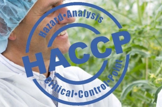 What is HACCP?