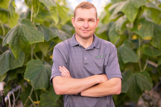 Hank Neufeld in Cucumber crop