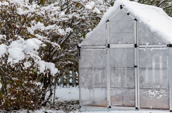 Tips for limiting frost damage to the greenhouse
