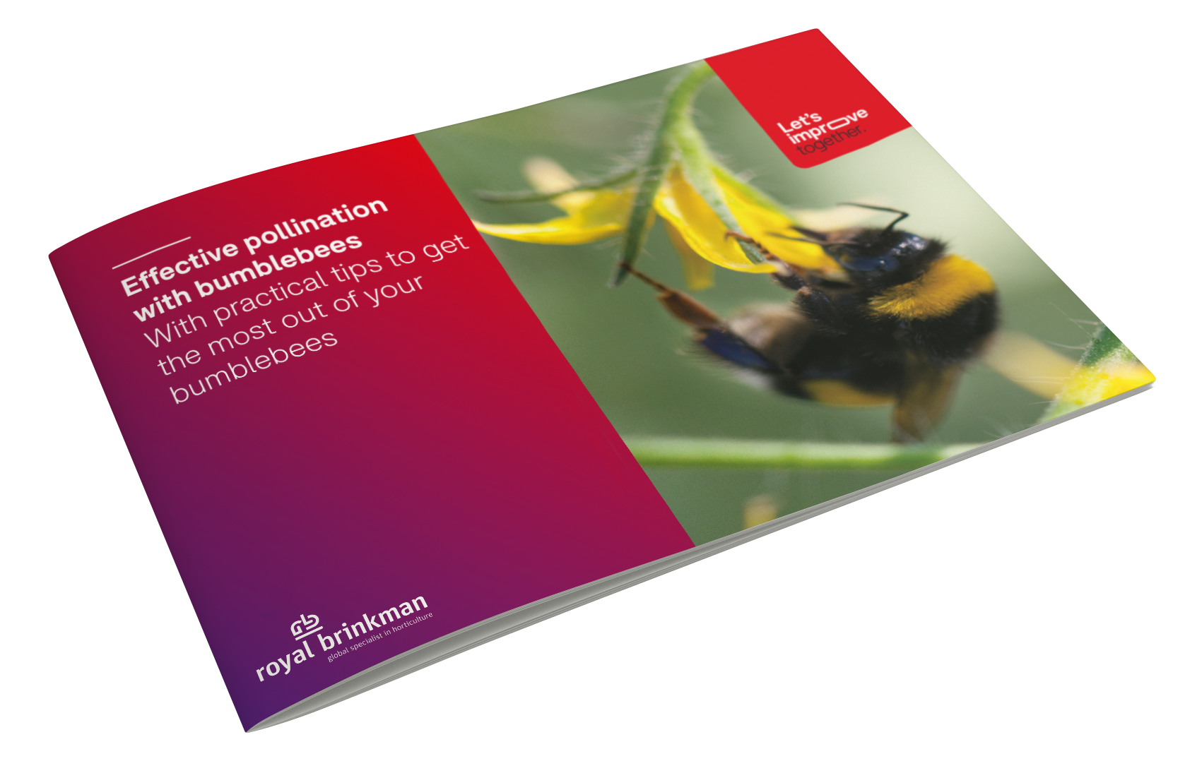 Whitepaper - Effective Pollination with Bumblebees