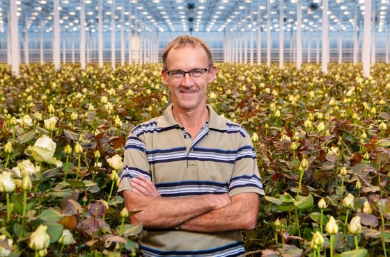 Image of Kees Kouwenhoven in greenhouse with roses