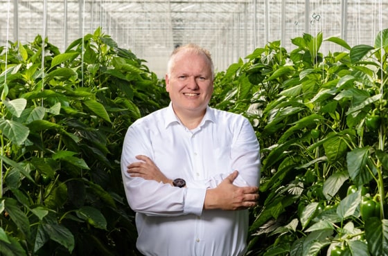 Martin Meuldijk in pepper greenhouse