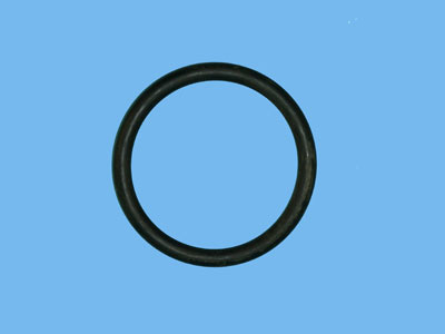 O-Ring for a Valve cover AB Pump