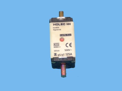Blade-type fuses 125A delay din 00
