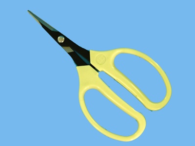 Grape scissors 15.5cm, straight, white