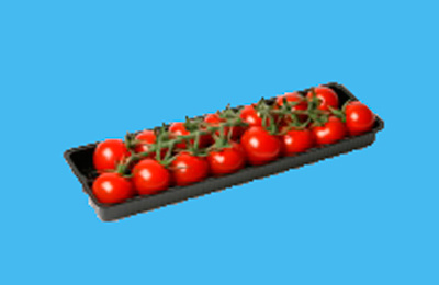Vegetable/fruit tray 27cm smal 267x78x20mm Zw 2 vaks