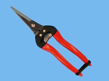 Harvesting scissor straight ARS 300L Red