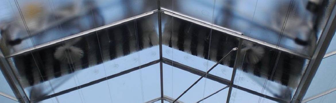 Greenhouse roof cleaning
