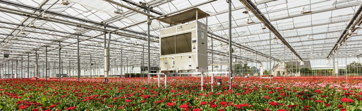 Optimal Humidity and Temperature for Greenhouse Growing - DryGair