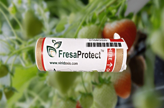 FresaProtect for strawberries