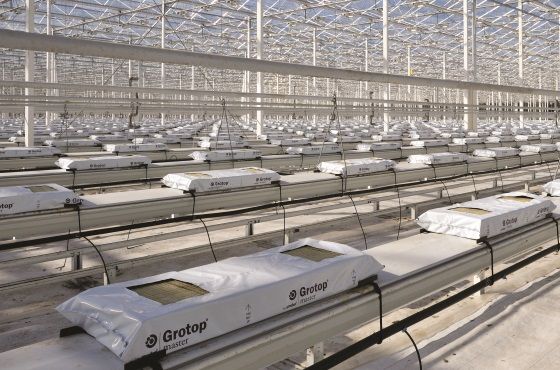 How do you install new substrates in a greenhouse?
