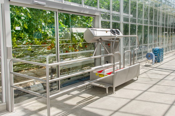 Picture of hygiene station in greenhouse