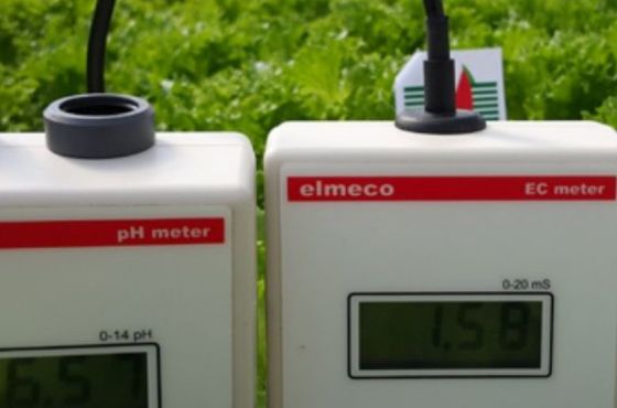How to calibrate a pH meter?