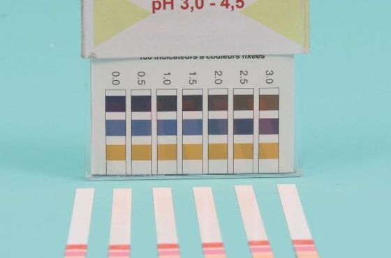 How to read pH test strips