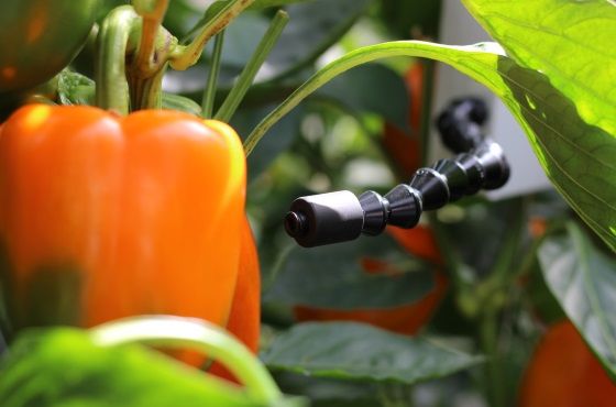 How to adjust your cultivation using a plant temperature meter
