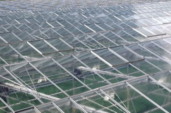 Tips for removing greenhouse shading agents from the greenhouse
