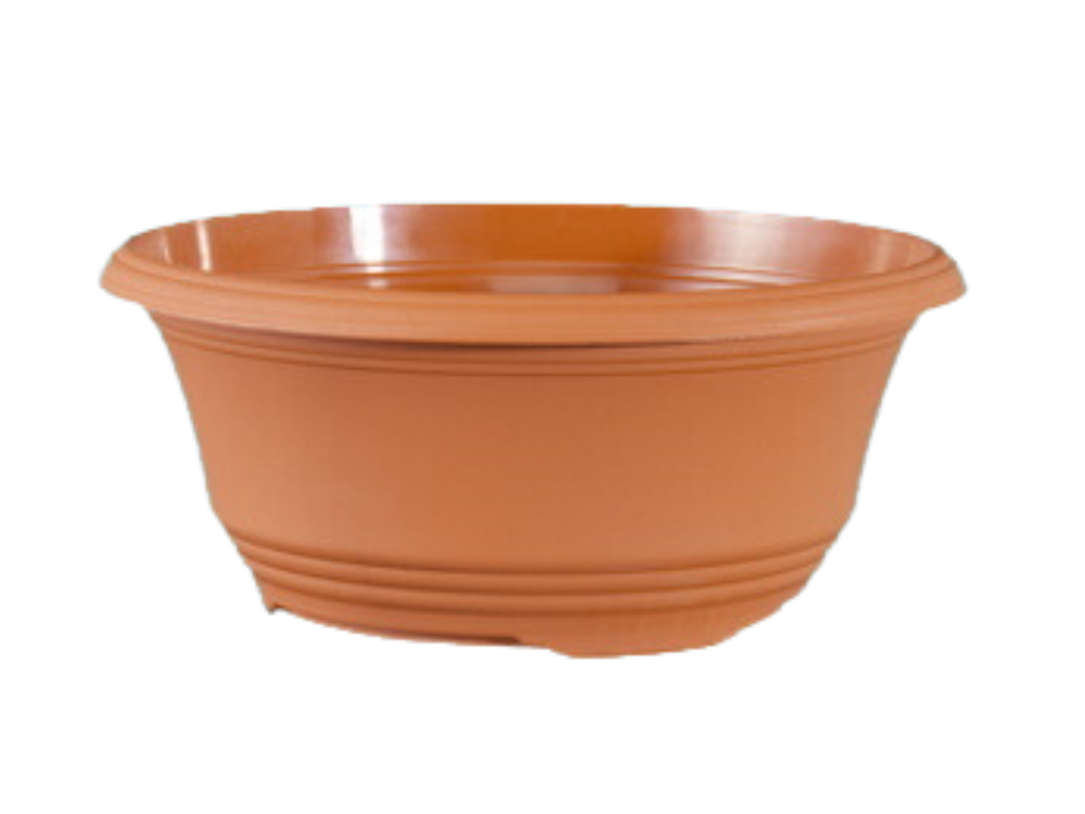 Plant Dishes & Decorative Containers