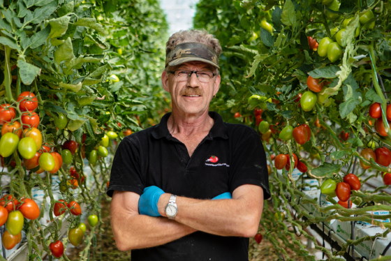 Tomato grower