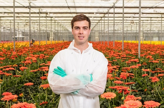 Picture of Dirk timmers in greenhouse in between plants