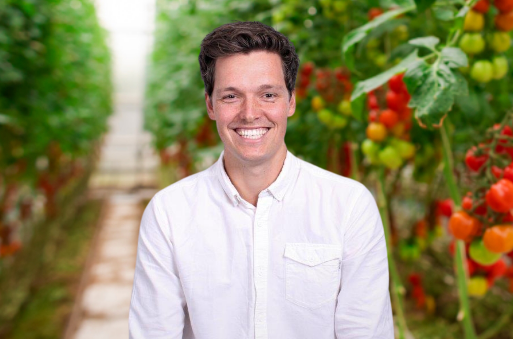 Tim van Steekelenburg in Greenhouse with Tomatoes