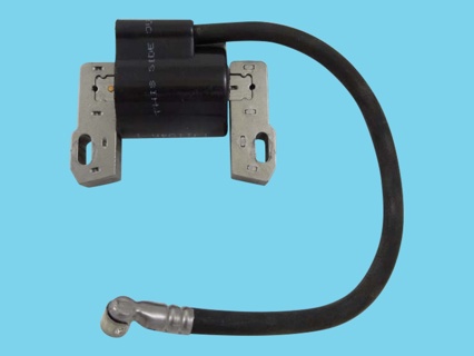 Ignition coil B and S