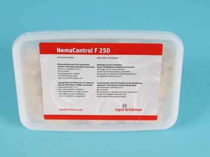 NEMAcontrol feltiae (gel formulation) [1 billion] (RB)