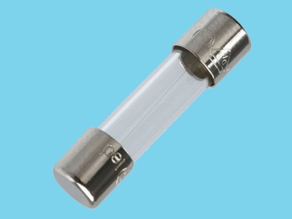 Glass fuse 5x20mm 10,0A T

