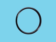 Amiad-man-ond  O-ring cilind/disc  2"-3"-4"