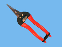 Harvesting scissor, short, straight, red