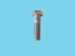 Bolt stainless steel M20 x 75