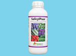 SalicylPure (12x1) 1 ltr