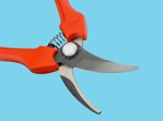 Bahco parrot scissors p123-19