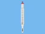 Thermometer in pvc holder 0/50